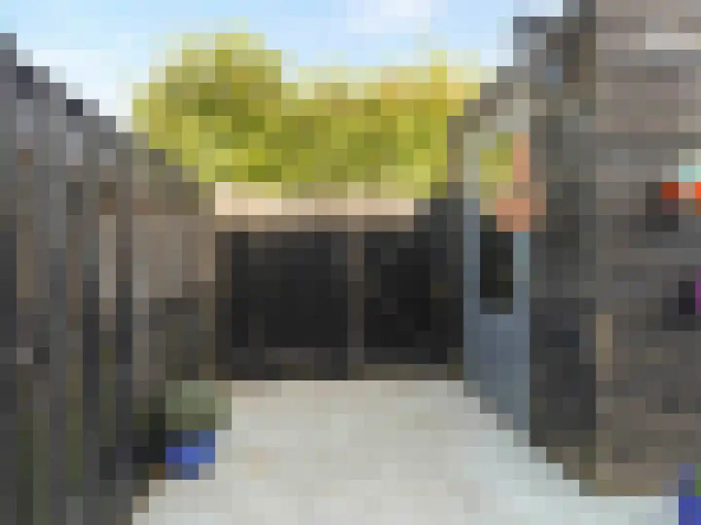 Bruidsbloemlaan 39 Vleuten thumbnail 42