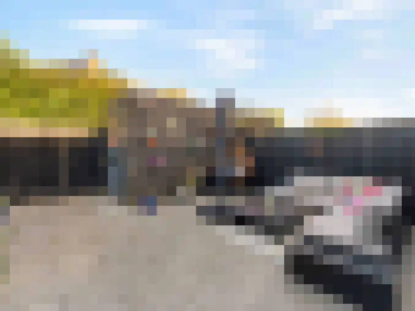 Bruidsbloemlaan 39 Vleuten thumbnail 5