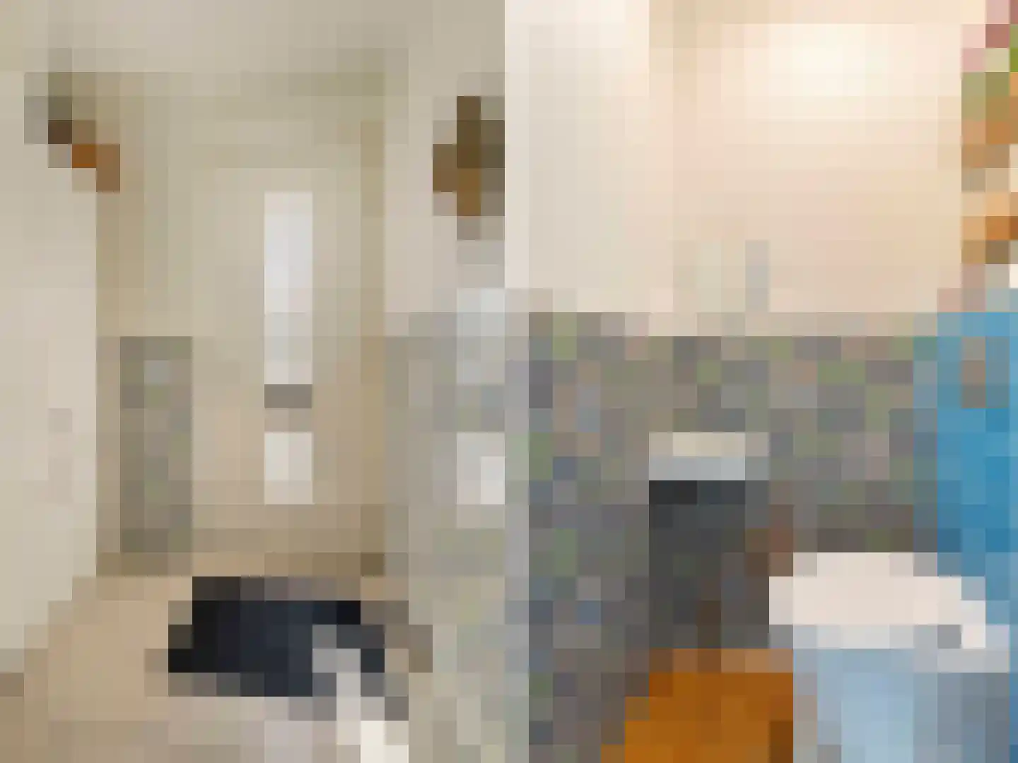Bruidsbloemlaan 39 Vleuten thumbnail 7