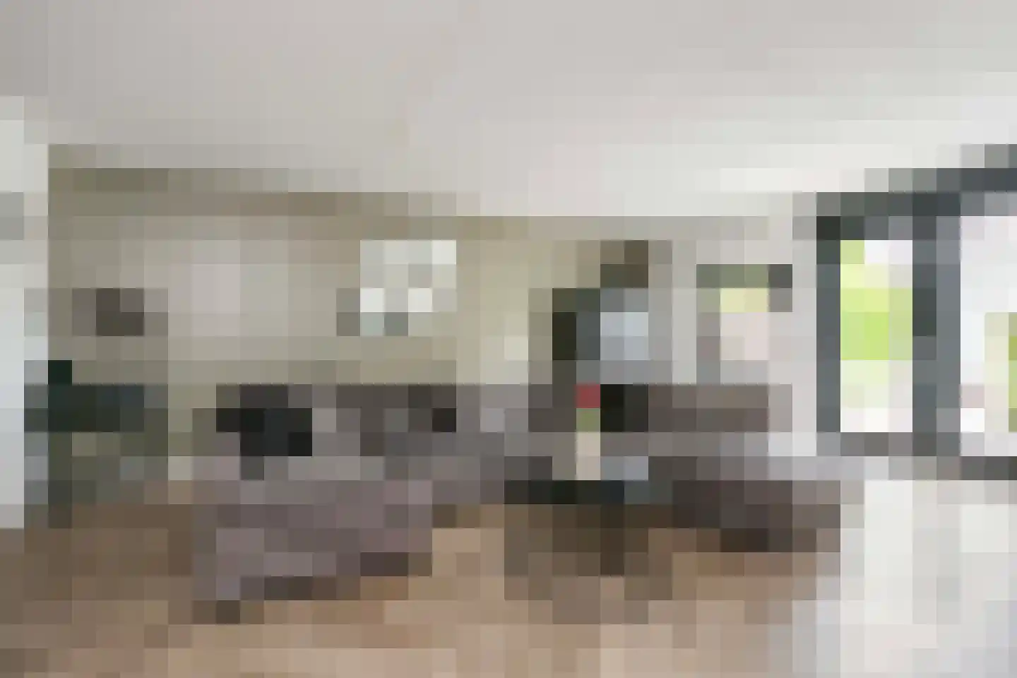 Bruidsbloemlaan 5 Vleuten thumbnail 11
