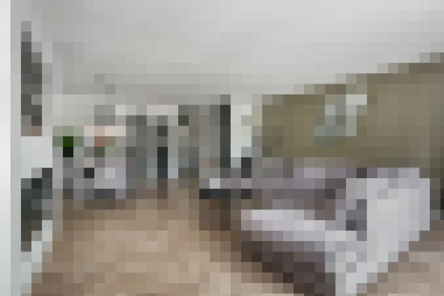 Bruidsbloemlaan 5 Vleuten thumbnail 12