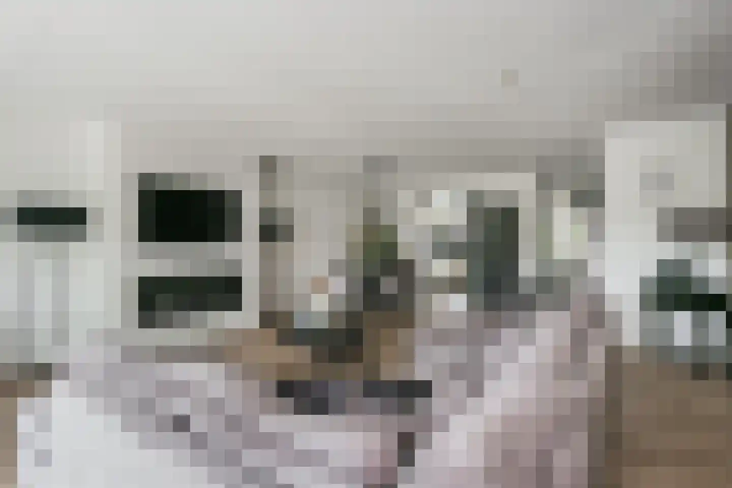 Bruidsbloemlaan 5 Vleuten thumbnail 13