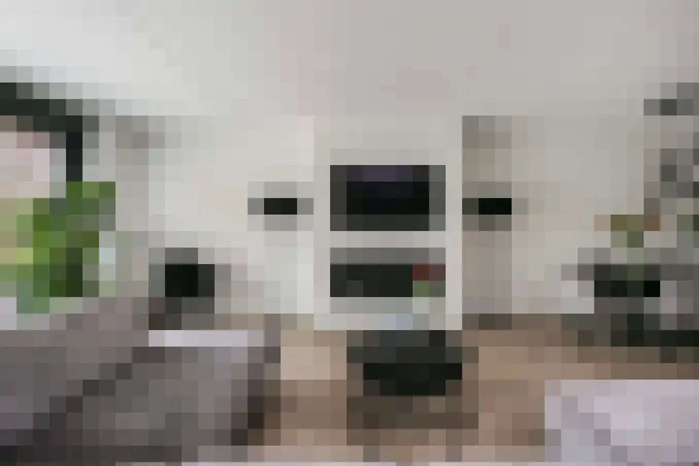 Bruidsbloemlaan 5 Vleuten thumbnail 14