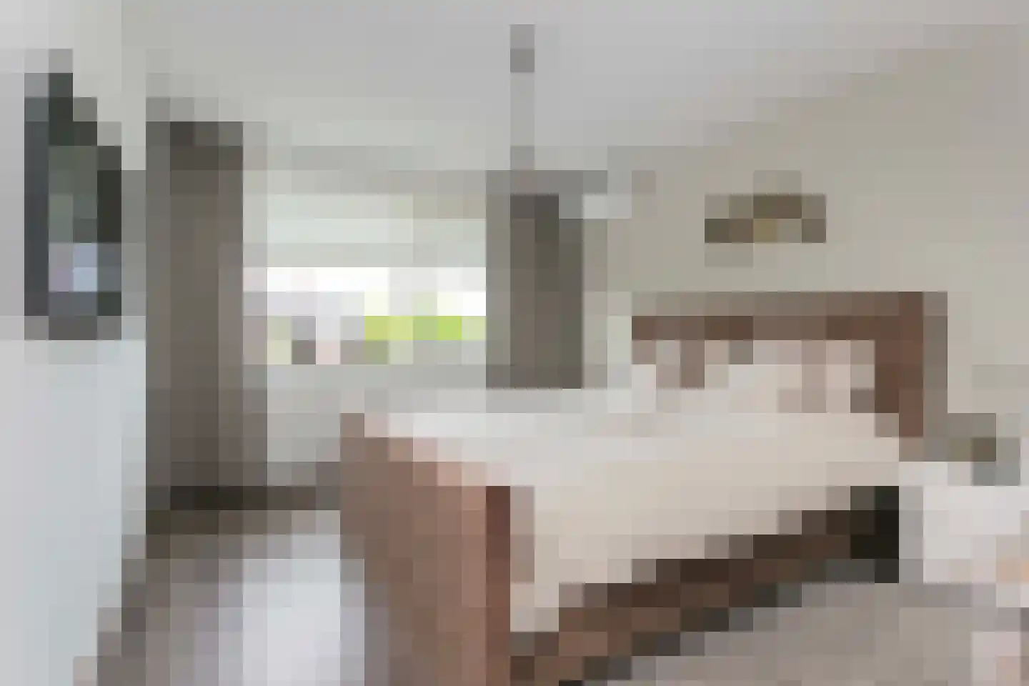 Bruidsbloemlaan 5 Vleuten thumbnail 19