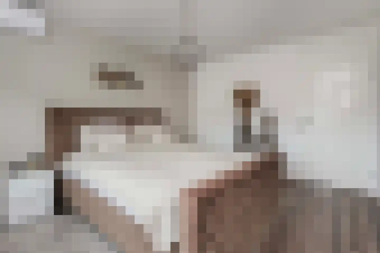 Bruidsbloemlaan 5 Vleuten thumbnail 20