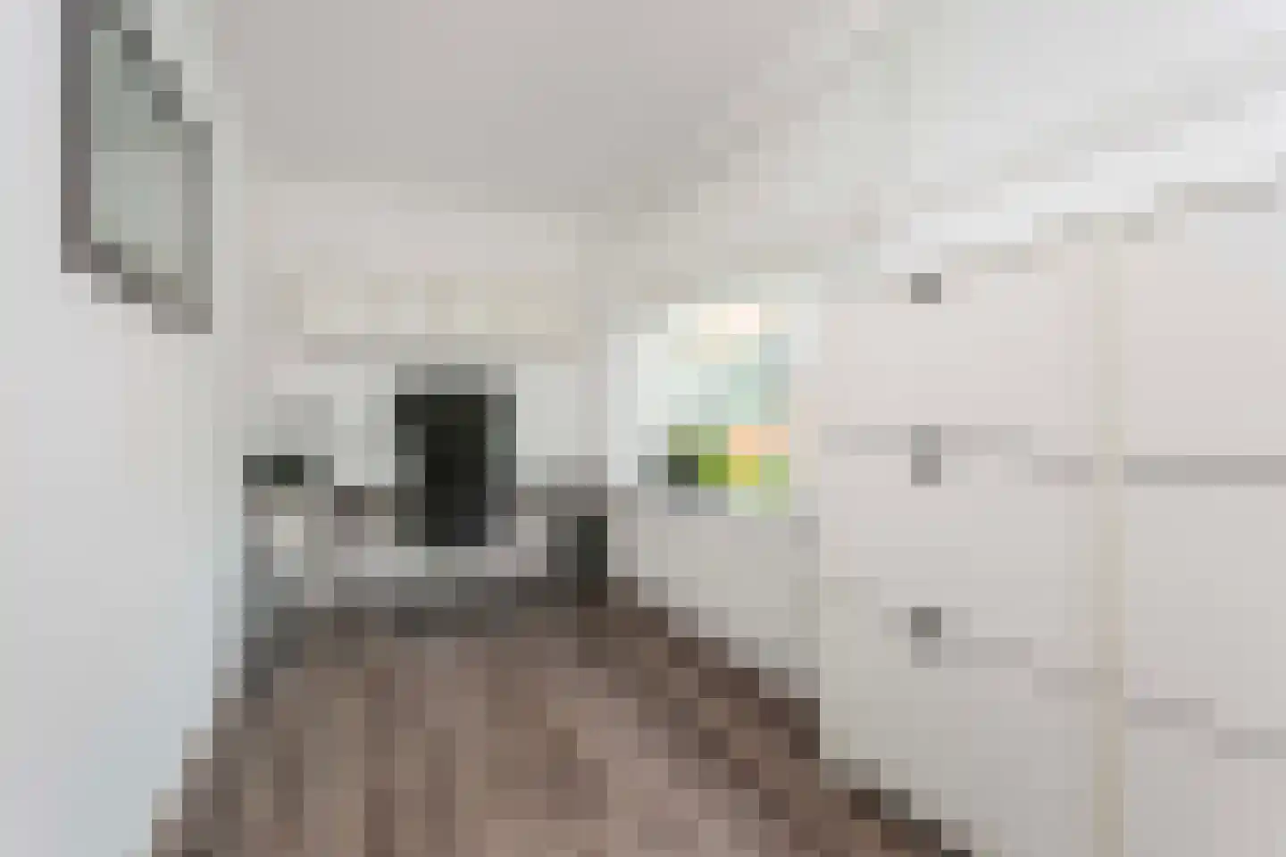 Bruidsbloemlaan 5 Vleuten thumbnail 21