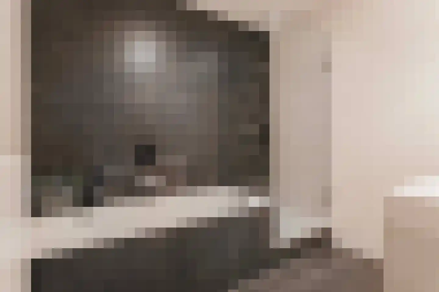 Bruidsbloemlaan 5 Vleuten thumbnail 26
