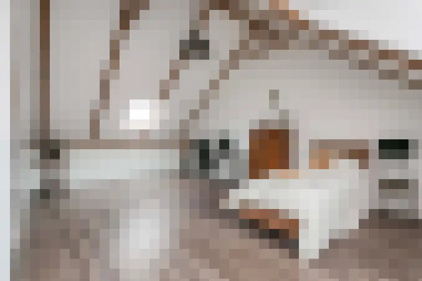Bruidsbloemlaan 5 Vleuten thumbnail 30