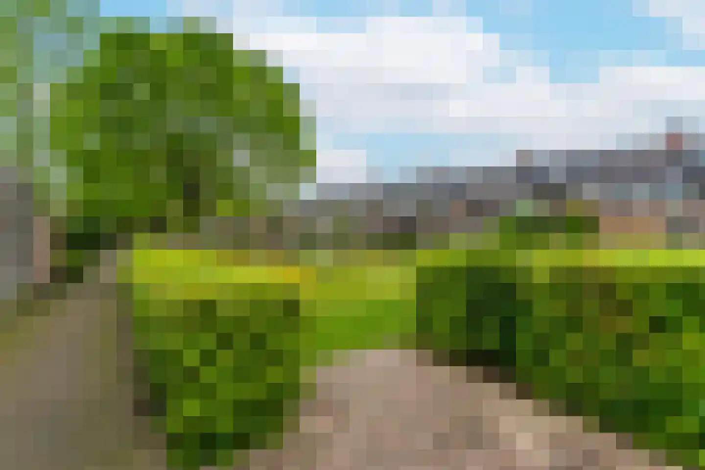 Bruidsbloemlaan 5 Vleuten thumbnail 41
