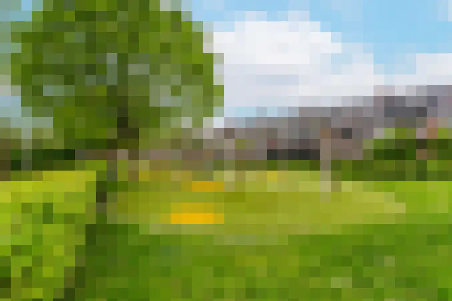 Bruidsbloemlaan 5 Vleuten thumbnail 42