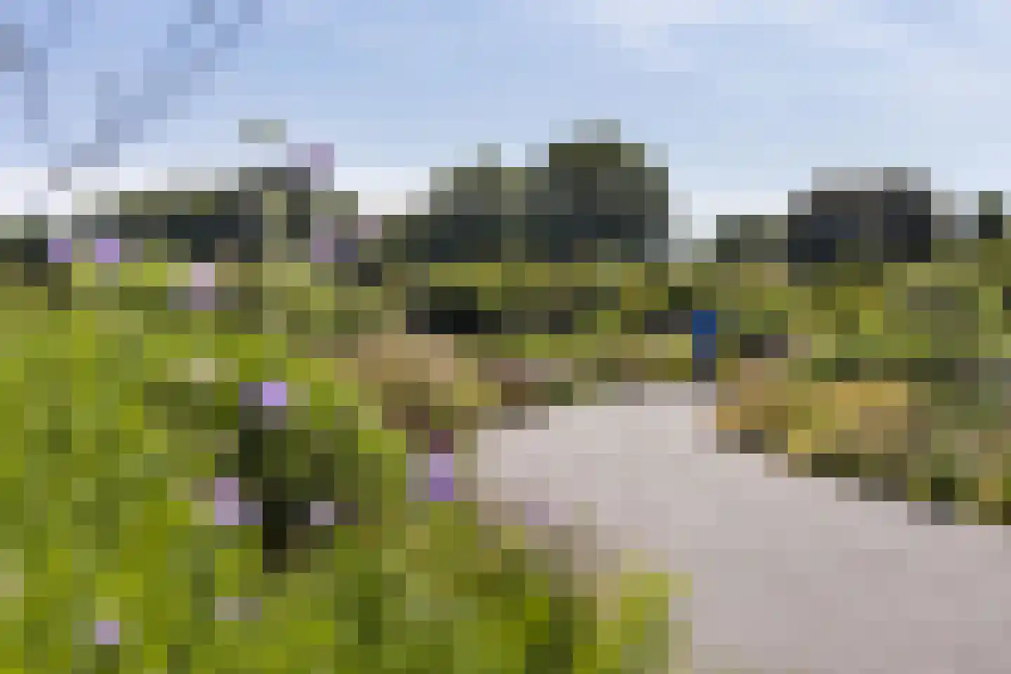 Bruidsbloemlaan 5 Vleuten thumbnail 44