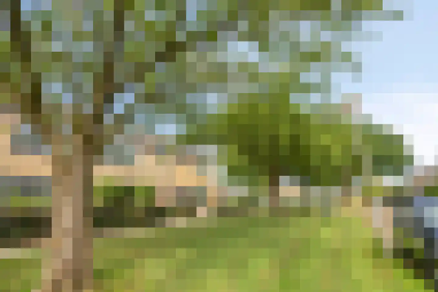 Bruijkersstraat 32 Vierpolders thumbnail 6