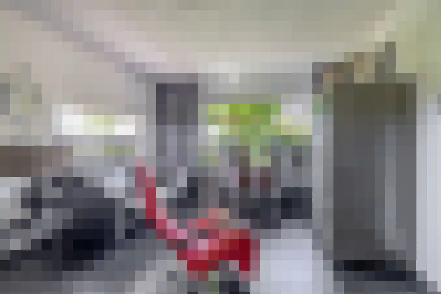 Bruijkersstraat 42 Vierpolders thumbnail 12