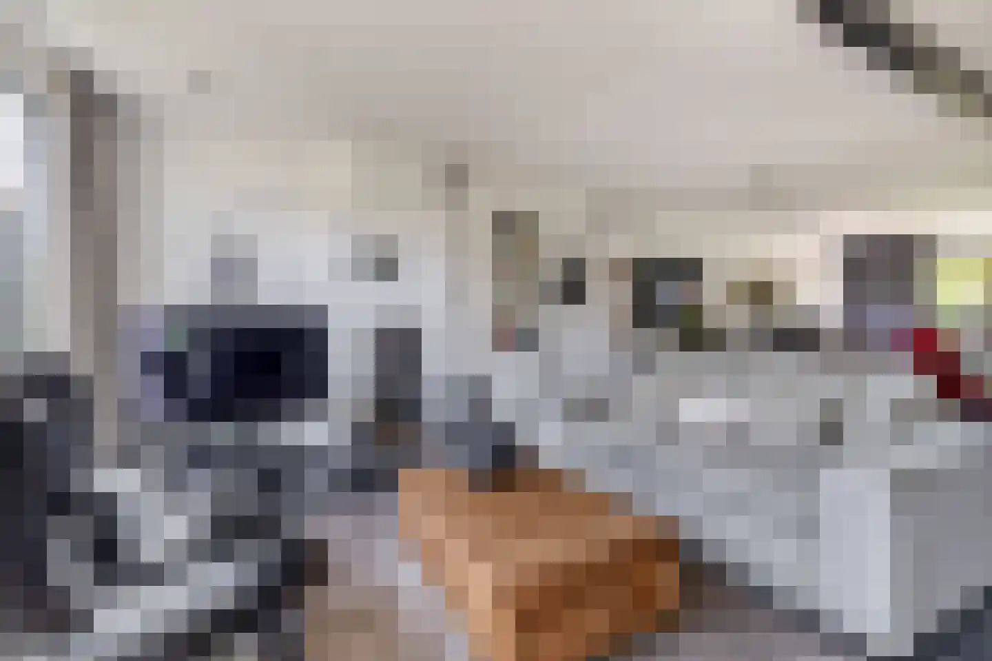 Bruijkersstraat 42 Vierpolders thumbnail 15