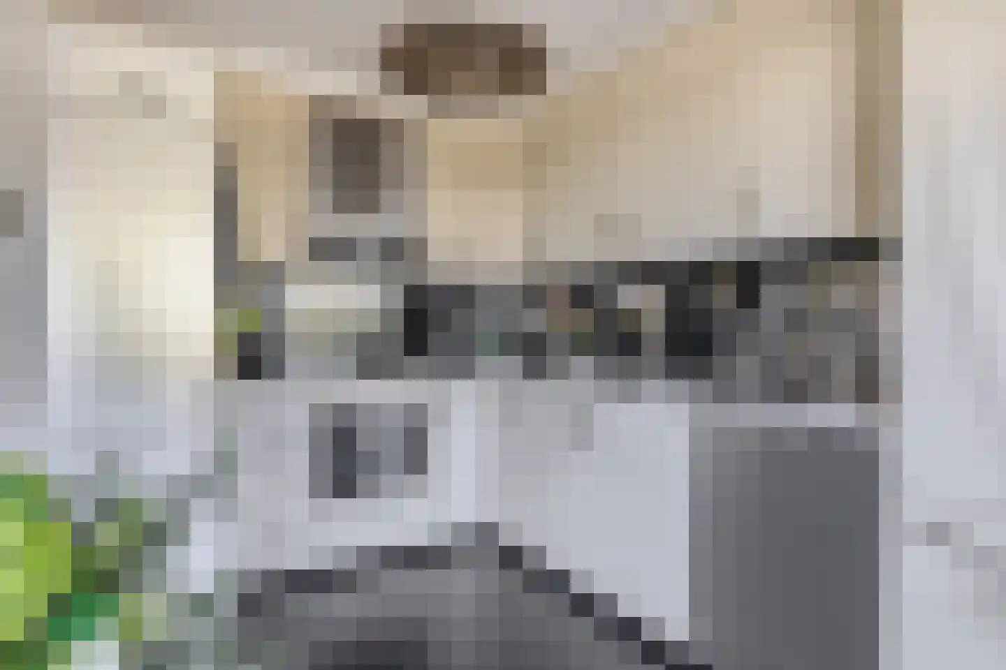 Bruijkersstraat 42 Vierpolders thumbnail 20