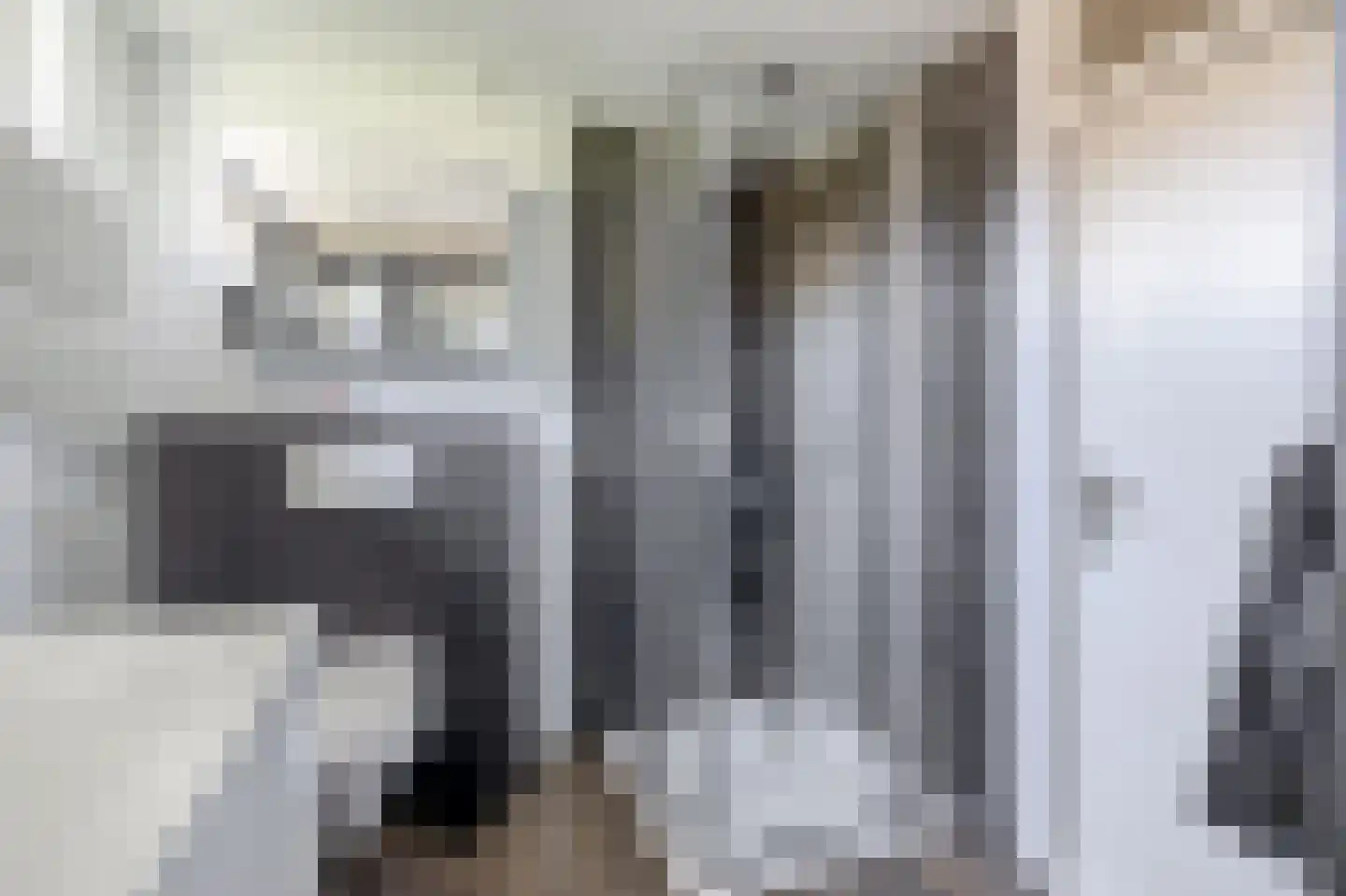Bruijkersstraat 42 Vierpolders thumbnail 29