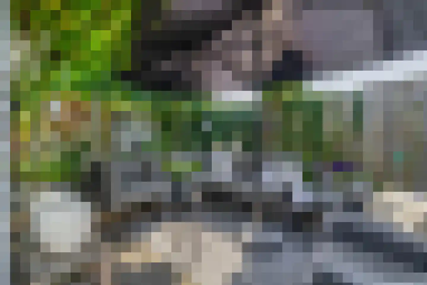 Bruijkersstraat 42 Vierpolders thumbnail 35