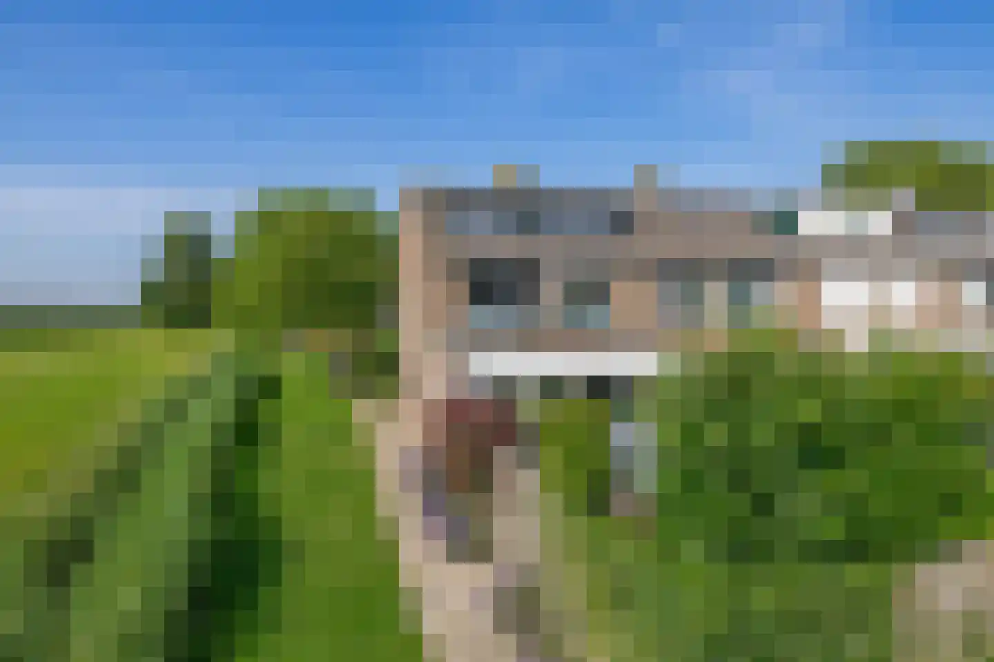 Bruijkersstraat 42 Vierpolders thumbnail 38