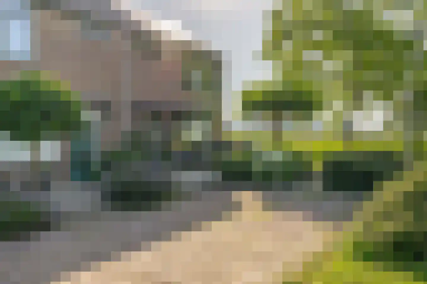 Bruijkersstraat 42 Vierpolders thumbnail 7
