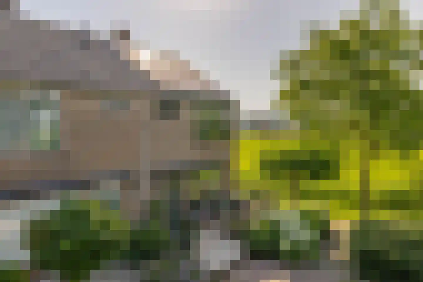 Bruijkersstraat 42 Vierpolders thumbnail 8
