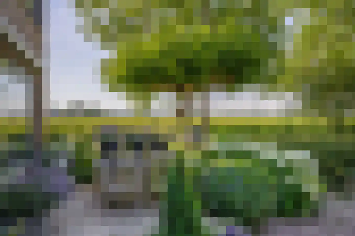 Bruijkersstraat 42 Vierpolders thumbnail 9