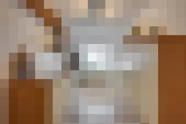 Bruijnings Ingenhoeslaan 104 Voorburg thumbnail 8