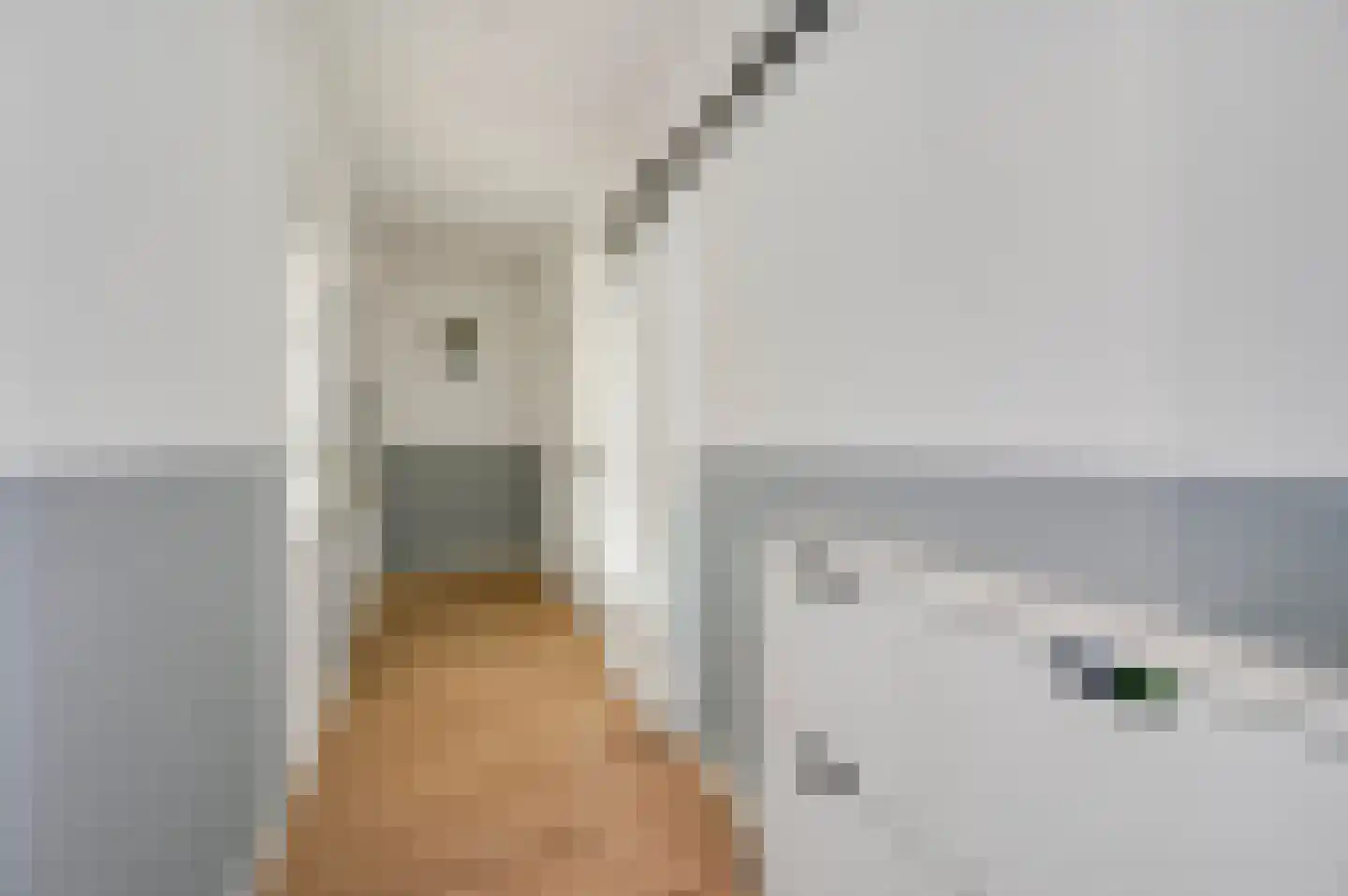 Bruijnings Ingenhoeslaan 118 Voorburg thumbnail 10