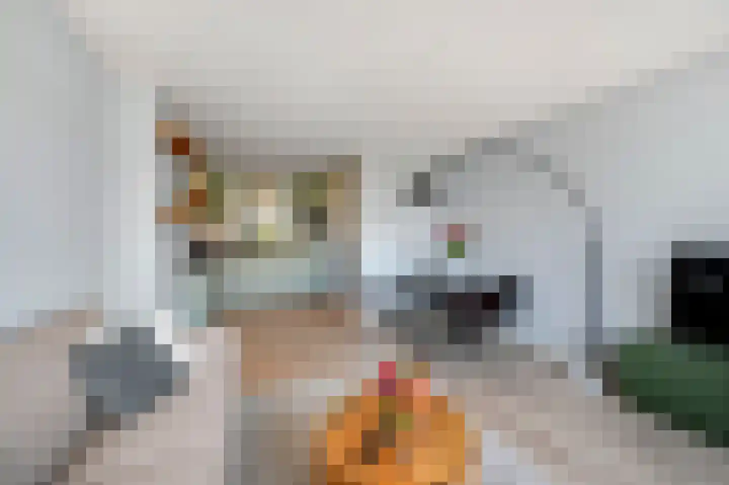 Bruijnings Ingenhoeslaan 118 Voorburg thumbnail 16