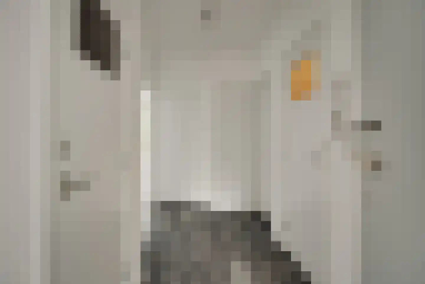 Bruijnings Ingenhoeslaan 12 Voorburg thumbnail 15