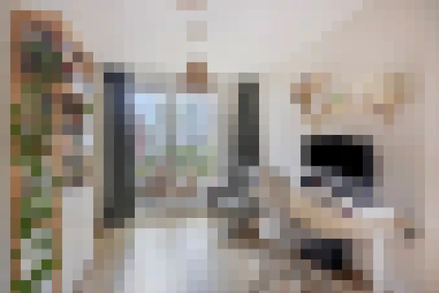 Bruijnings Ingenhoeslaan 126 Voorburg thumbnail 19