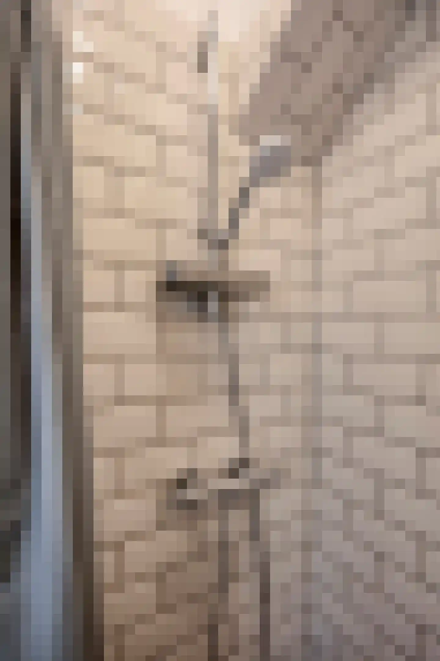 Bruijnings Ingenhoeslaan 126 Voorburg thumbnail 21