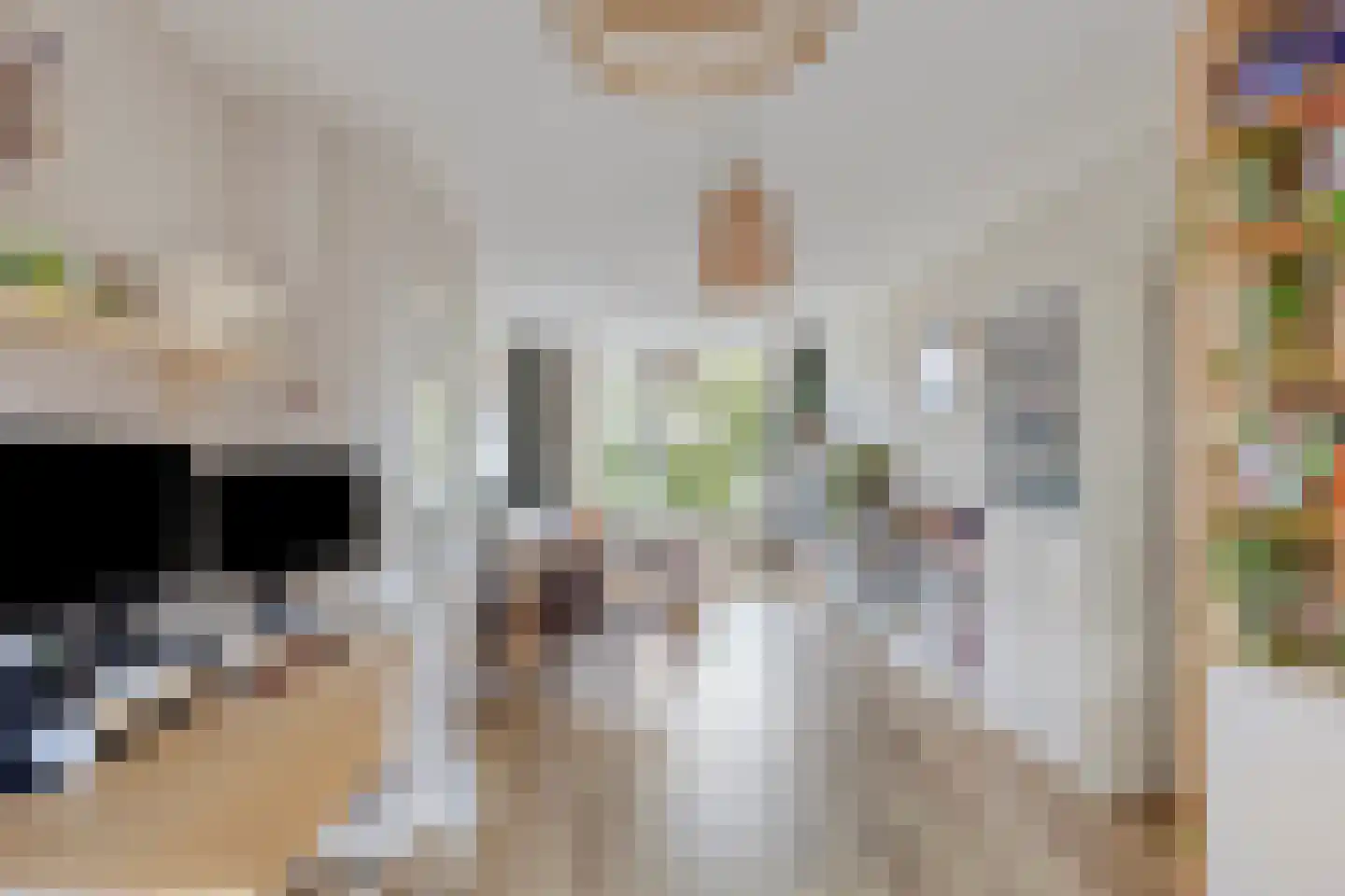 Bruijnings Ingenhoeslaan 126 Voorburg thumbnail 4