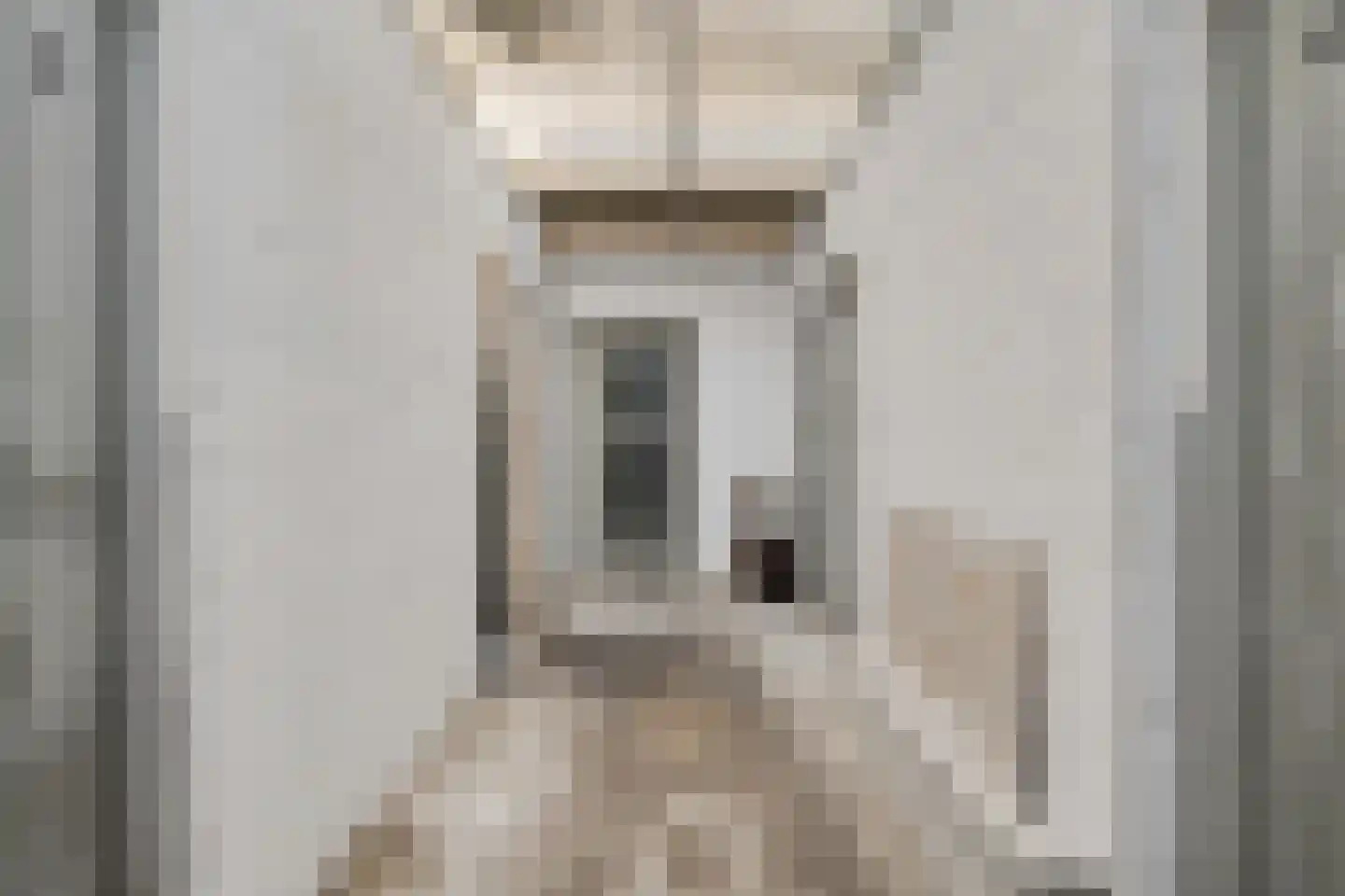 Bruijnings Ingenhoeslaan 132 Voorburg thumbnail 36
