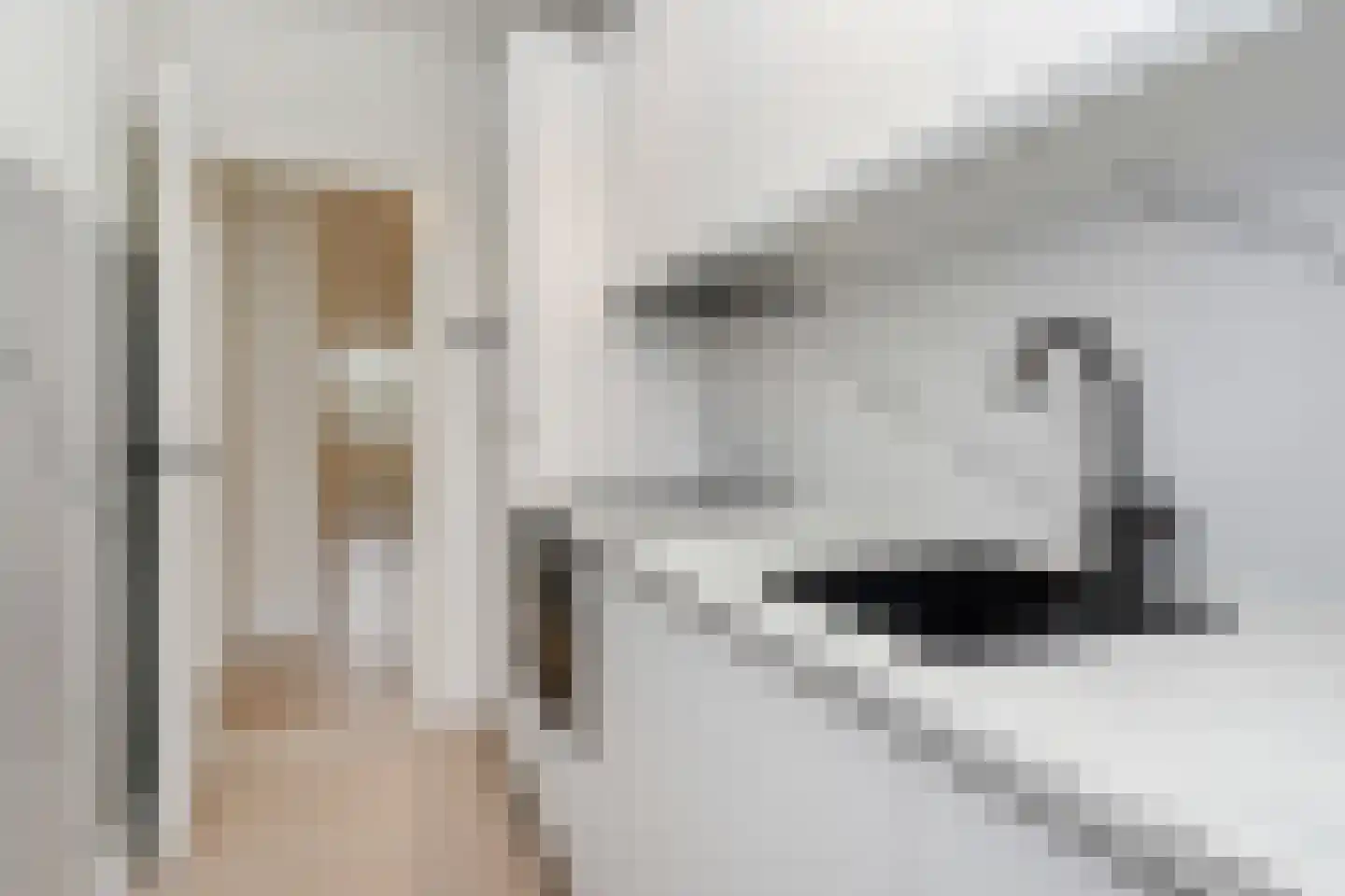 Bruijnings Ingenhoeslaan 18 Voorburg thumbnail 24