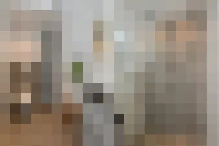 Bruijnings Ingenhoeslaan 190 Voorburg thumbnail 28