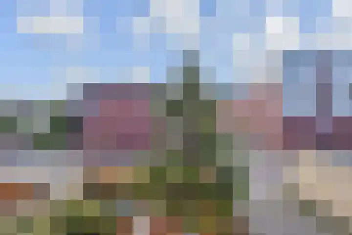 Bruijnings Ingenhoeslaan 190 Voorburg thumbnail 32