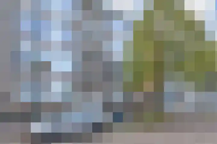 Bruijnings Ingenhoeslaan 190 Voorburg thumbnail 6