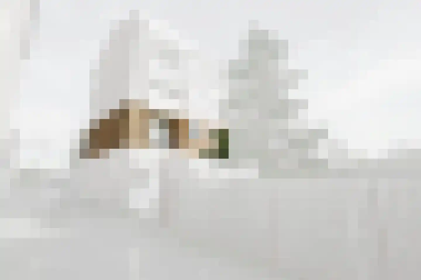 Bruijnings Ingenhoeslaan 190 Voorburg thumbnail 6