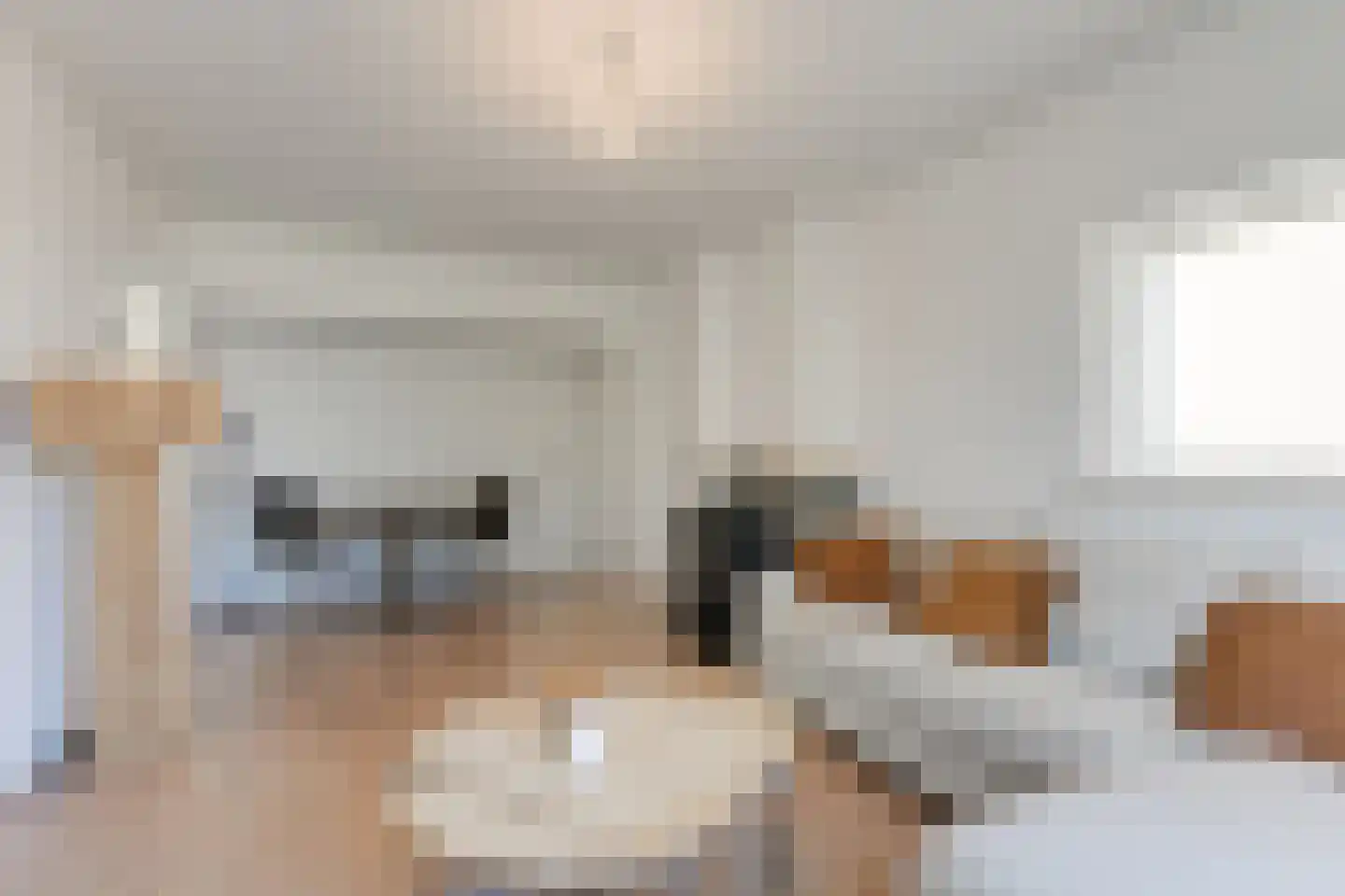 Bruijnings Ingenhoeslaan 190 Voorburg thumbnail 9