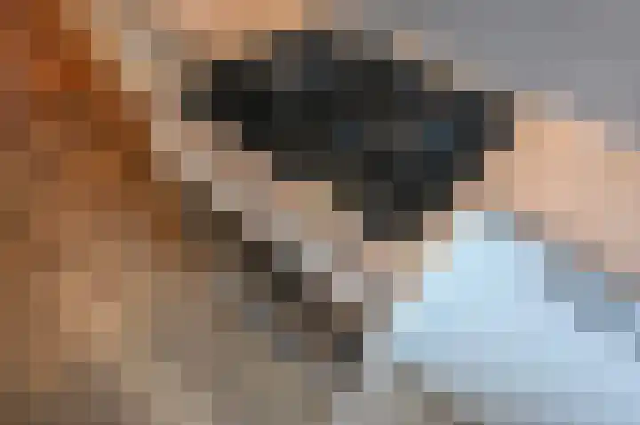 Bruijnings Ingenhoeslaan 21 Voorburg thumbnail 16
