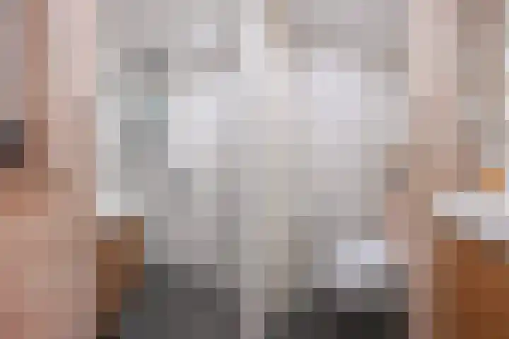 Bruijnings Ingenhoeslaan 21 Voorburg thumbnail 22