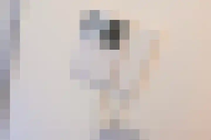 Bruijnings Ingenhoeslaan 21 Voorburg thumbnail 25