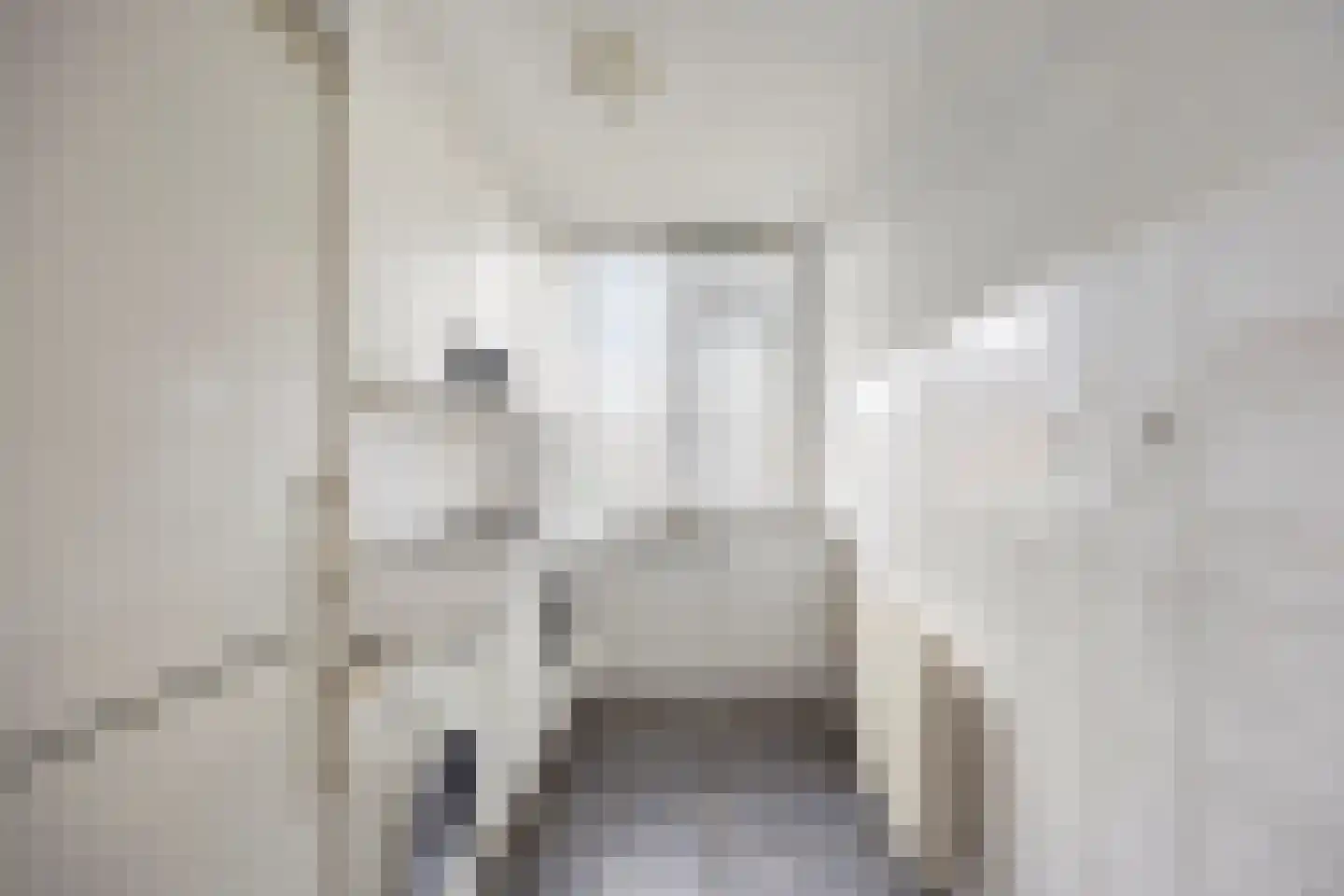 Bruijnings Ingenhoeslaan 216 Voorburg thumbnail 10