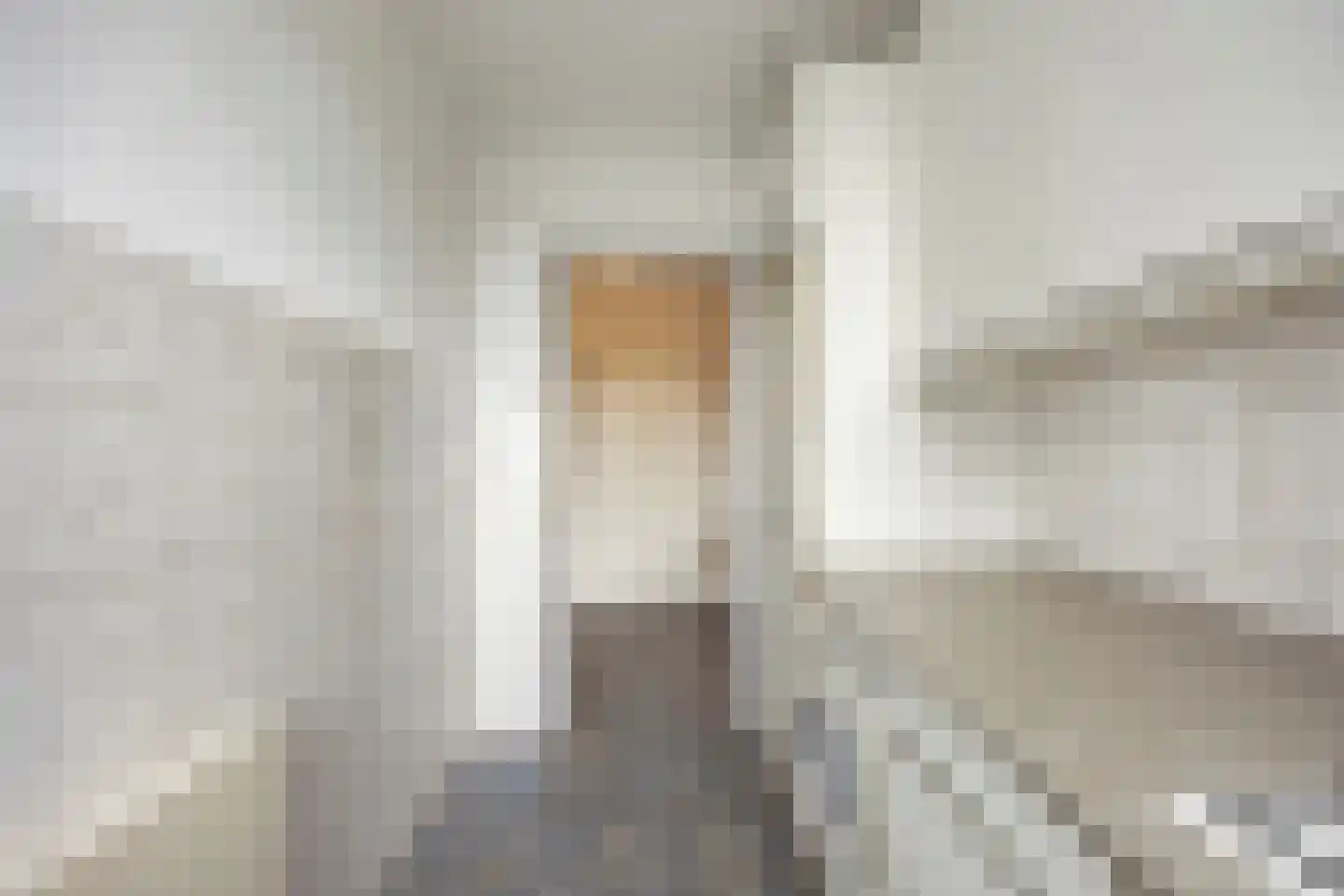 Bruijnings Ingenhoeslaan 216 Voorburg thumbnail 11