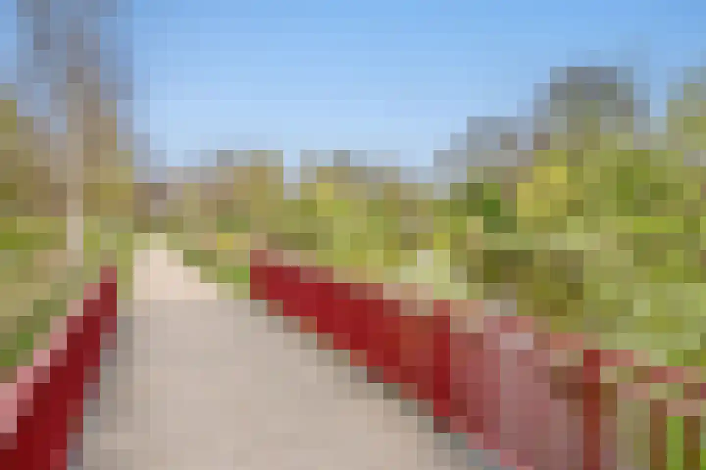 Bruijnings Ingenhoeslaan 274 Voorburg thumbnail 20