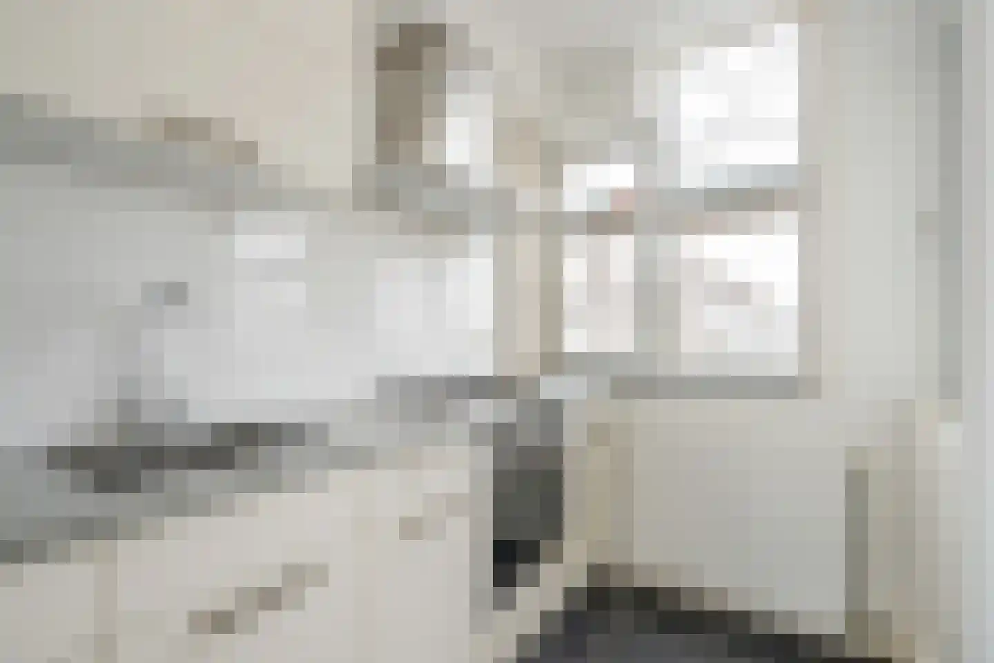 Bruijnings Ingenhoeslaan 274 Voorburg thumbnail 9