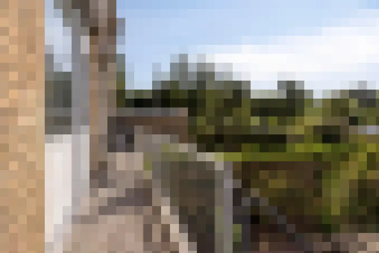 Bruijnings Ingenhoeslaan 282 Voorburg thumbnail 21