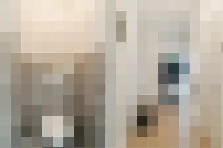 Bruijnings Ingenhoeslaan 34 Voorburg thumbnail 15