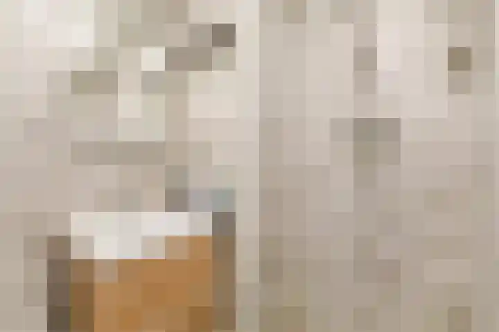 Bruijnings Ingenhoeslaan 34 Voorburg thumbnail 17