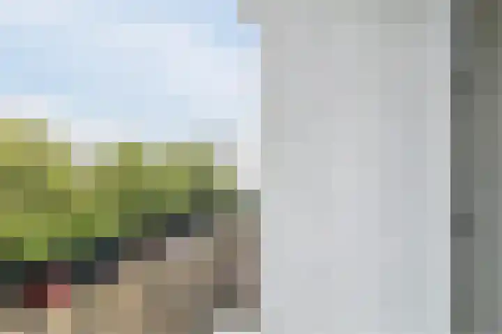 Bruijnings Ingenhoeslaan 34 Voorburg thumbnail 20